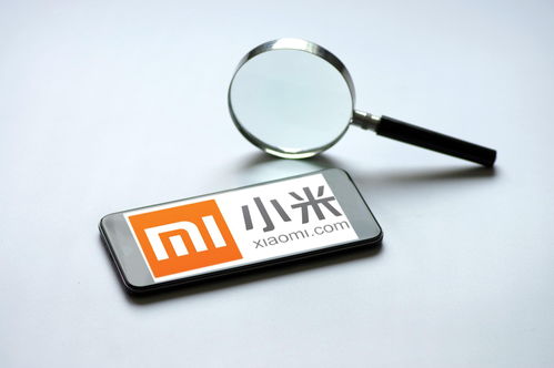 小米强化隐私保护与信息安全 第一优先级的战略抉择